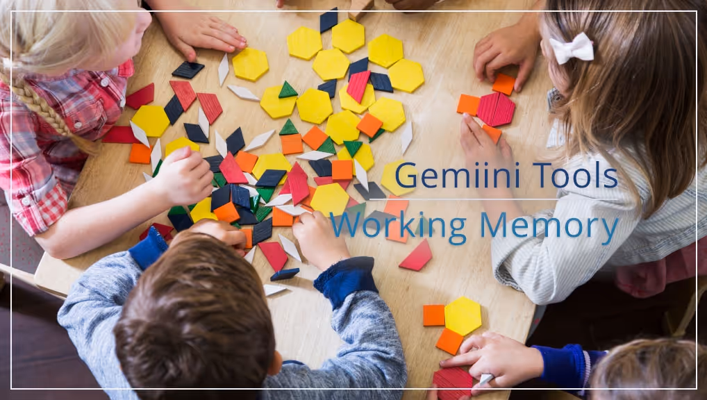 Gemiini's Working Memory Tool