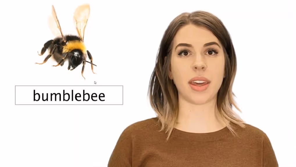 Weekly Content Update | Fasteners, Insects & Writing Neatly