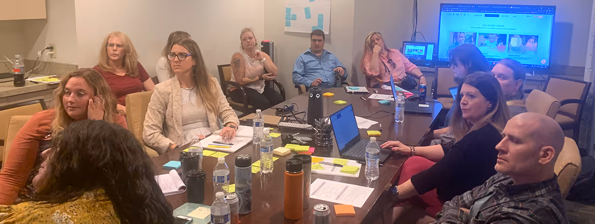 Gemiini staff collaboration