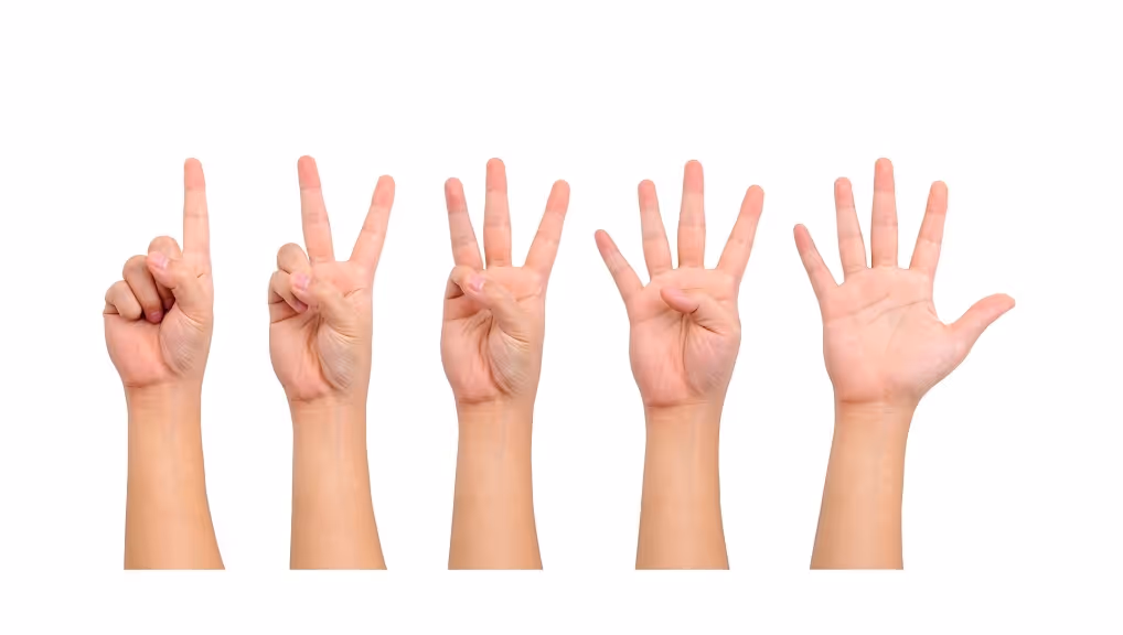 Weekly Content Update | More Verbs!