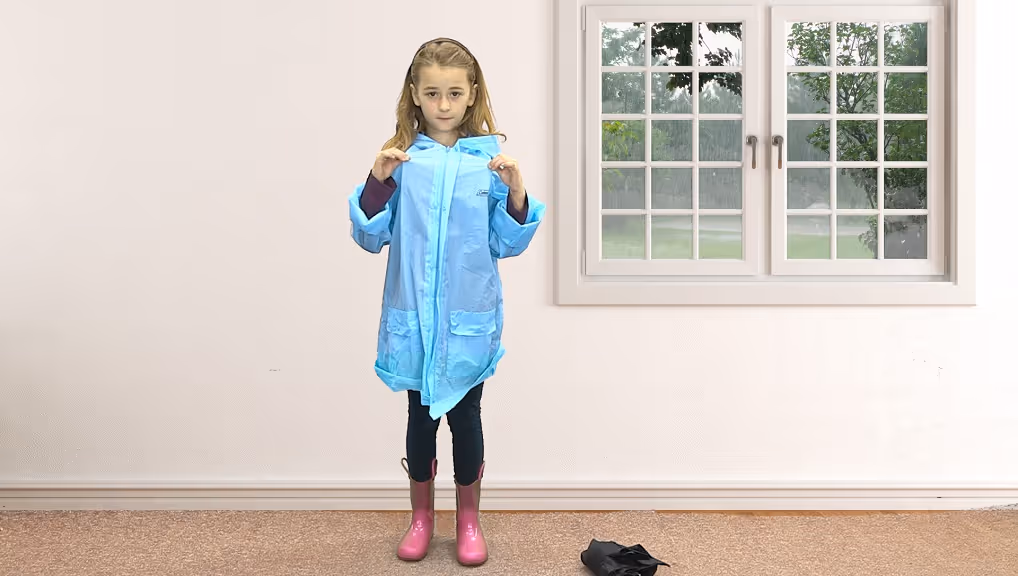 Gemiini video example