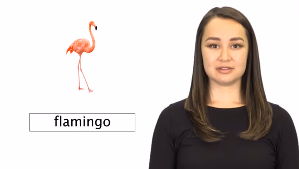 Gemiini video example