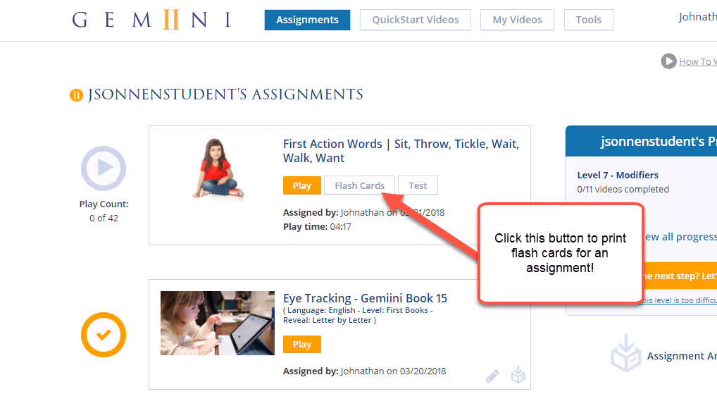 Gemiini assignment flashcards example