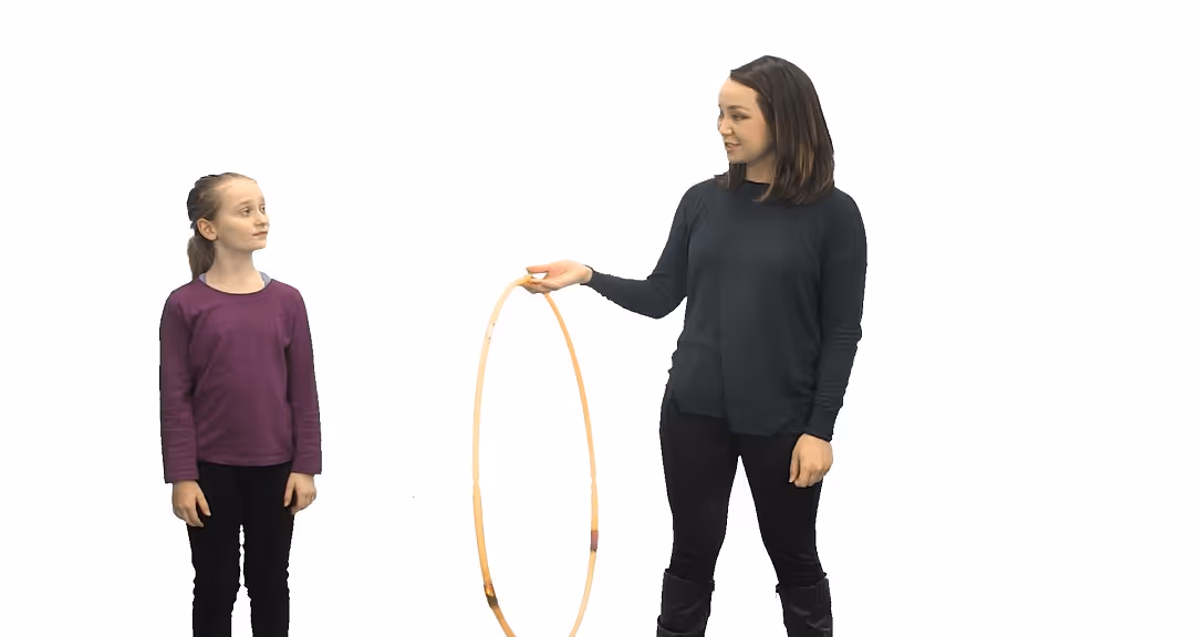 Gemiini video example