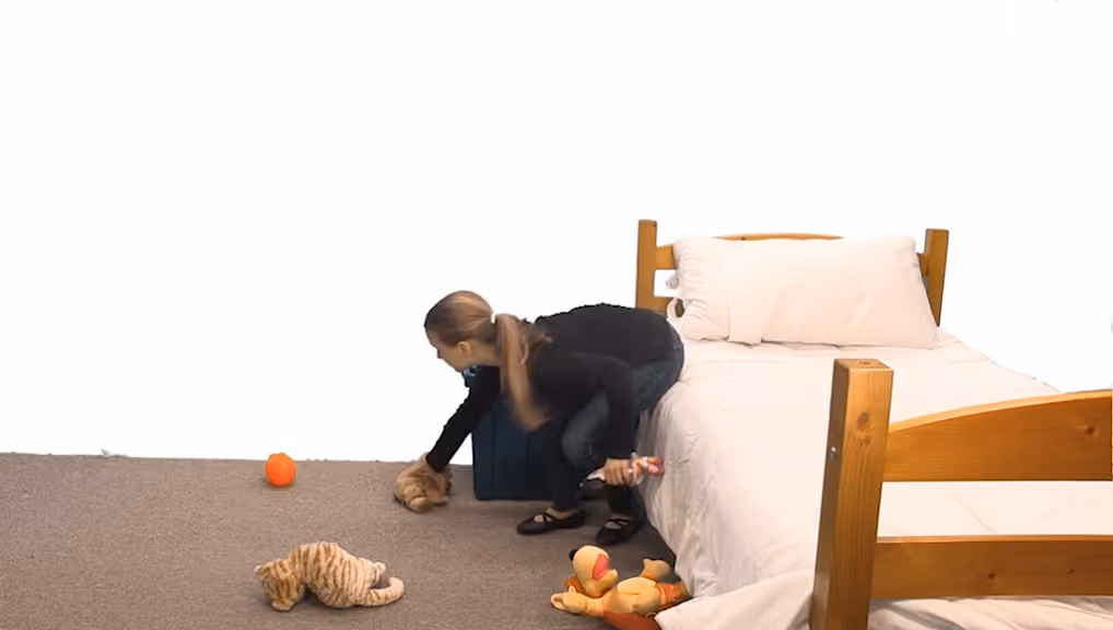 Gemiini video example