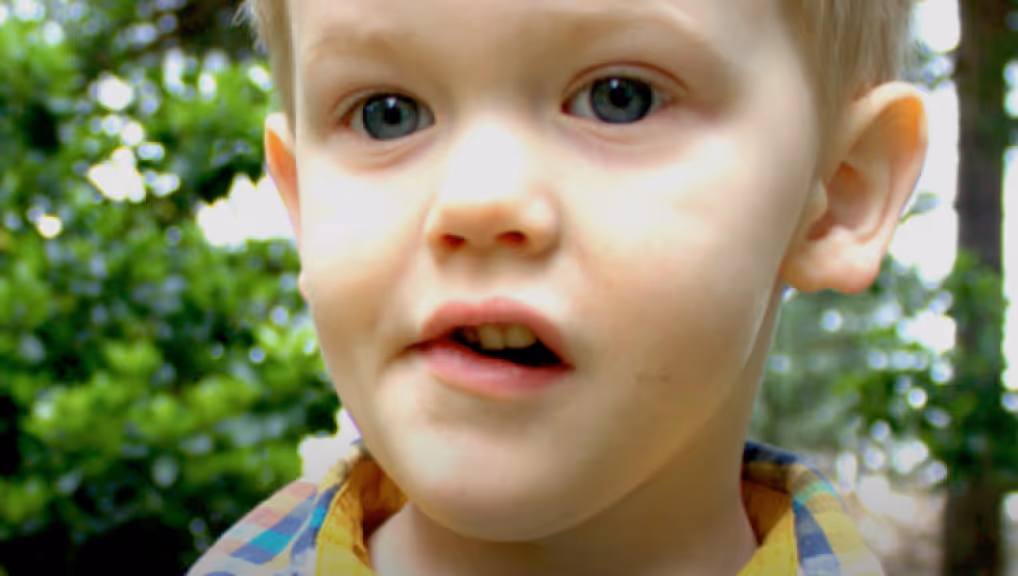 Journey With Speech: Crabs, Lizards, Elephants, Bears, and Fish