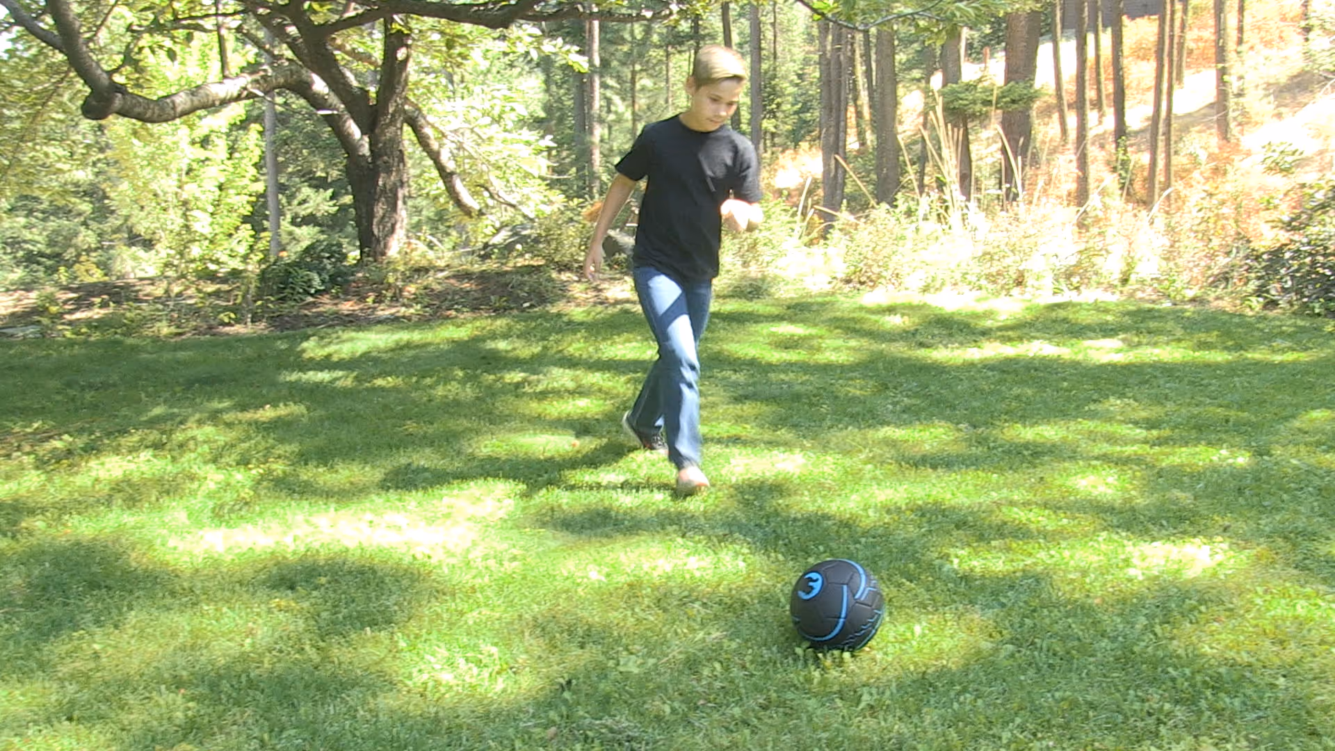 Gemiini video example