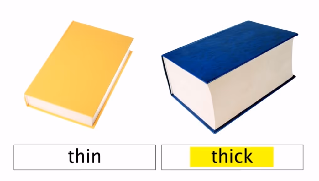 Gemiini video example