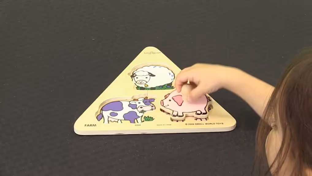 Gemiini video example