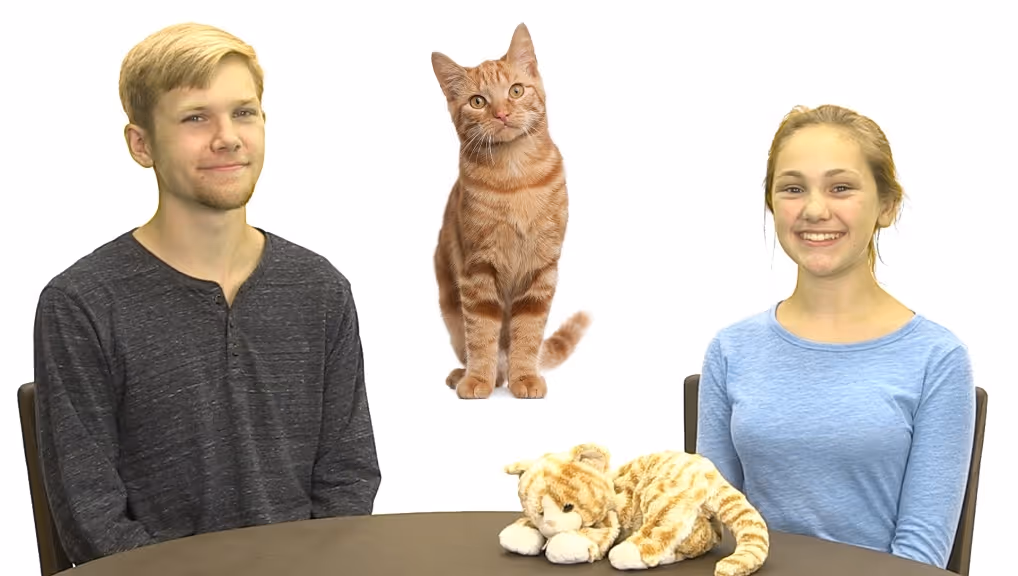 Weekly Content Update | Teaching Simple Commands & Tell Me Three Things