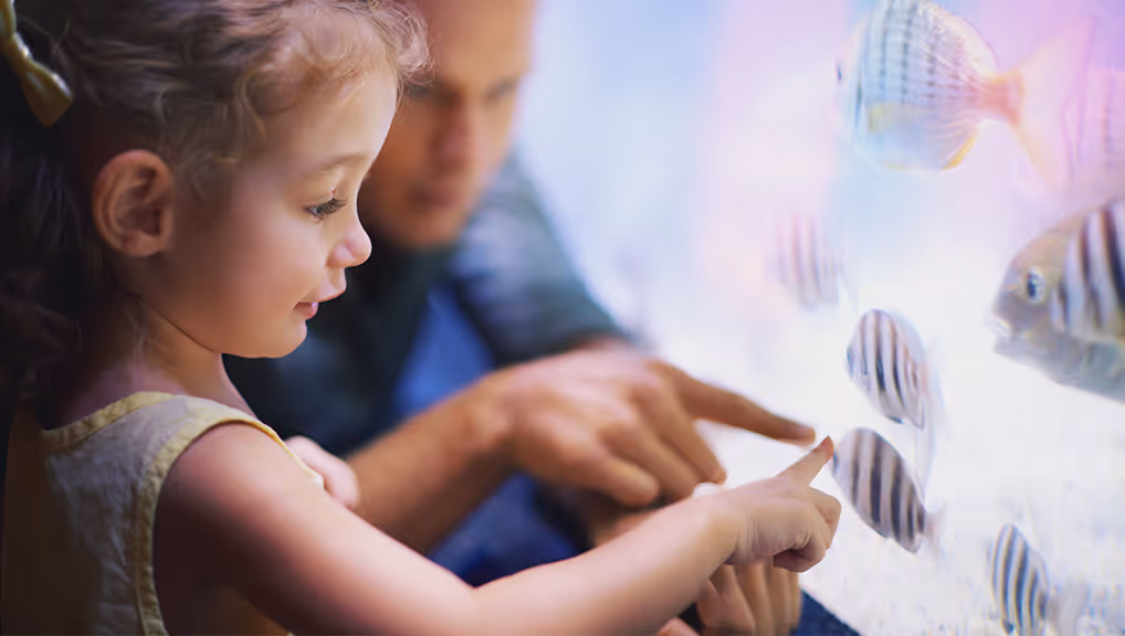 Content Update | Sea Life, Food, & Prepositions