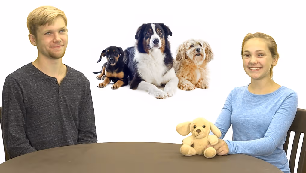 Gemiini video example