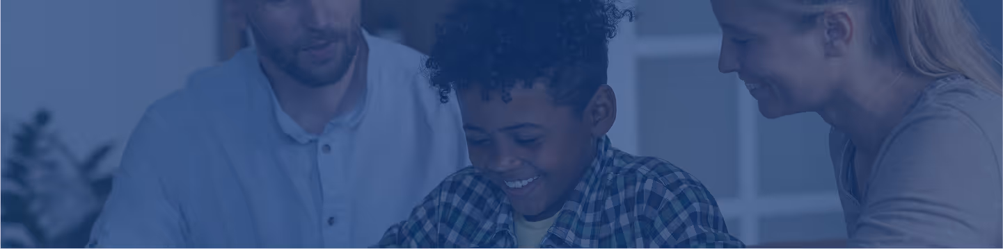 What professionals Say About Gemiini