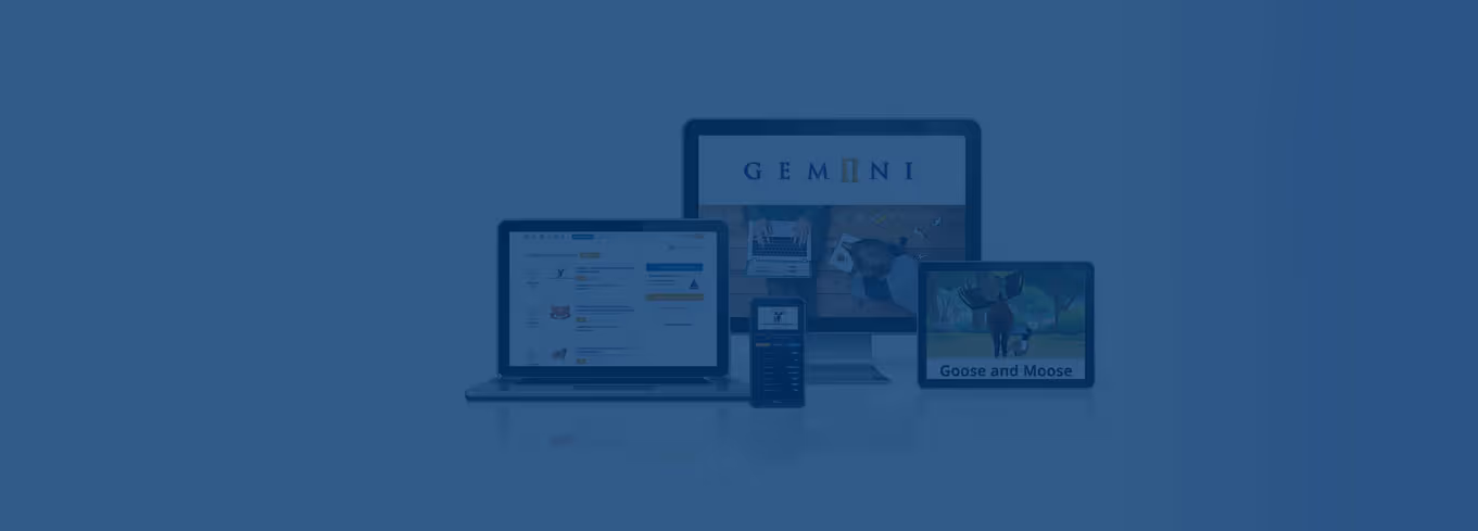 Ways To Watch Gemiini Assignments