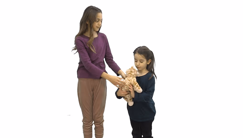 Gemiini video example