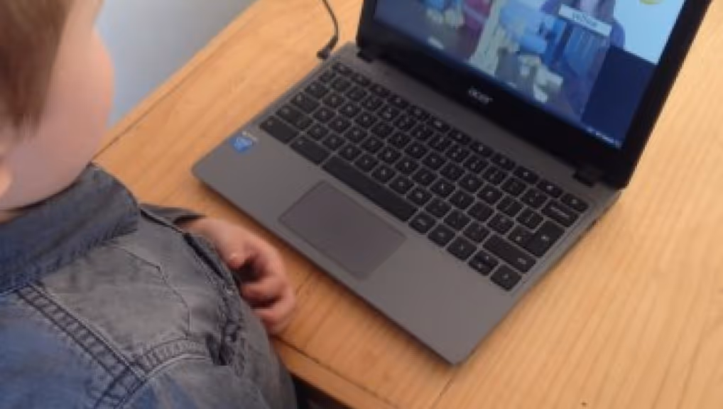 Life With a Bear: Gemiini- The Life Saver!