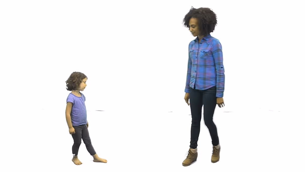 Gemiini video example