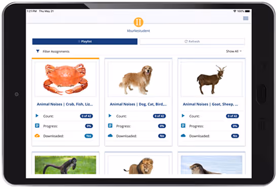 Gemiini mobile app screenshot