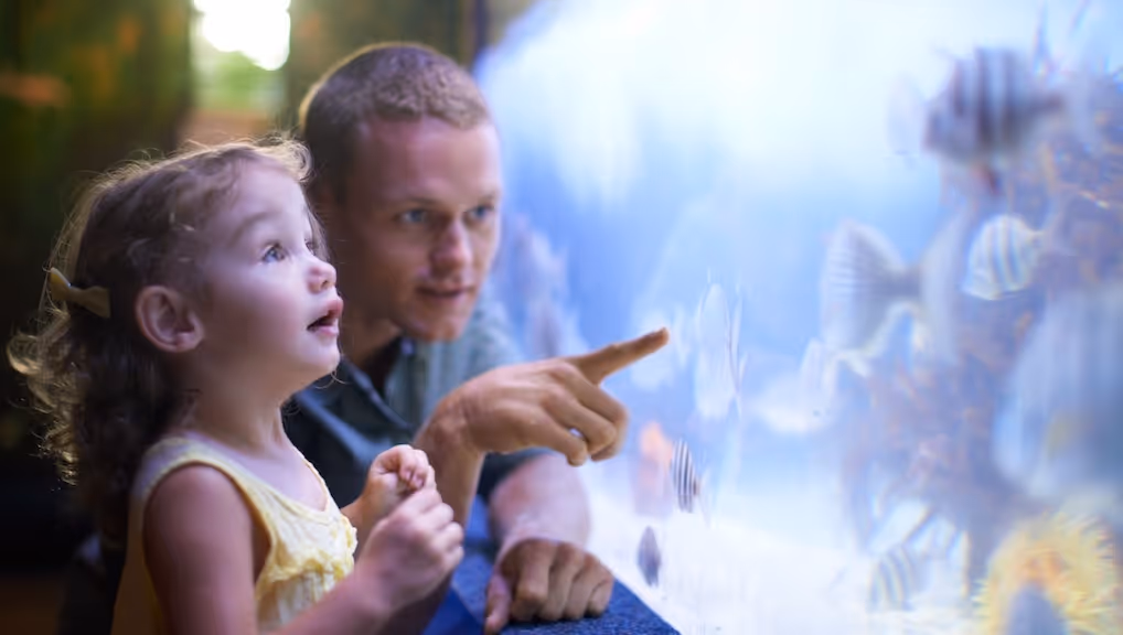 Tips and Tricks: How To Use Generalization to Increase Speech