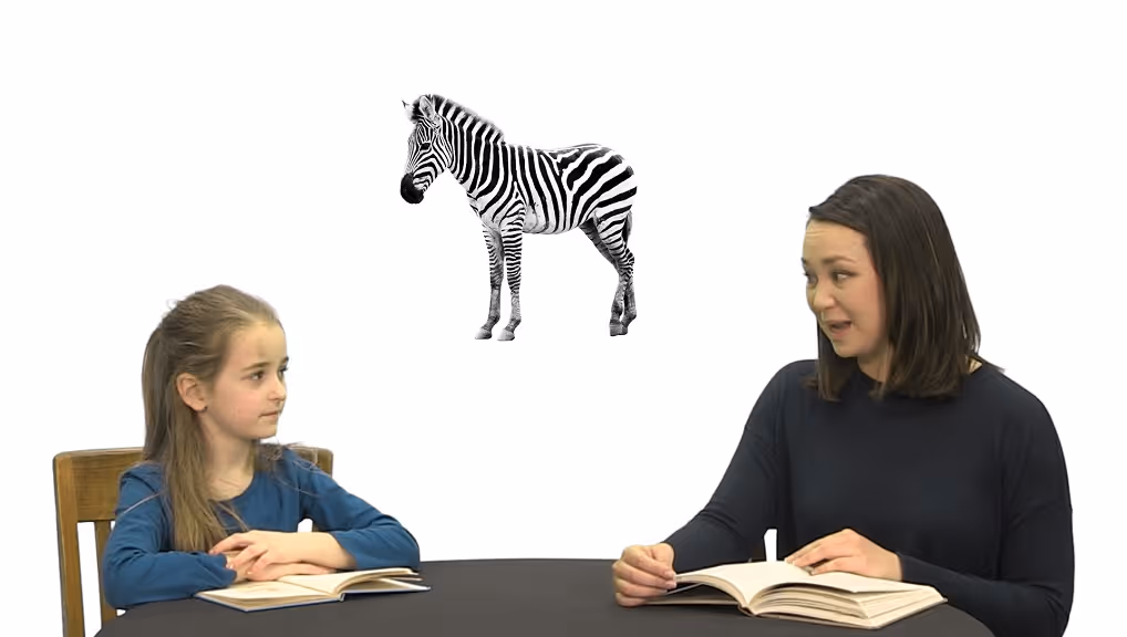 Gemiini video example