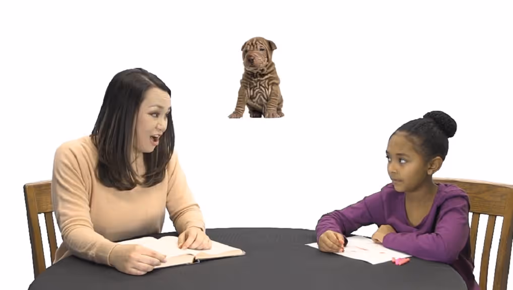 Gemiini video example