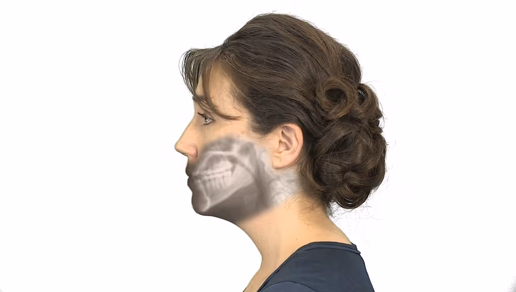 Weekly Content Update | X-ray Phonemic Alphabet